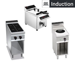 Other induction devices