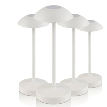 17035#4_1