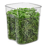 CAMBRO | CAMWEAR® FreshPro-beholder - 17,2 liter - transparent