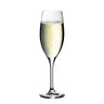 (6 stk.) WMF | ROYAL - Champagneglass 29 - 250 ml - ukalibrert