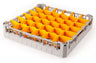 Glasskurv - 36 rom - 500x500x108 mm