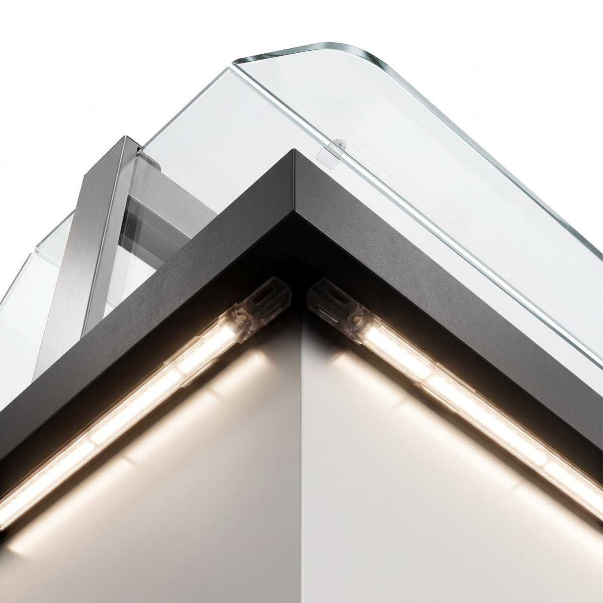 BTK_detail_1