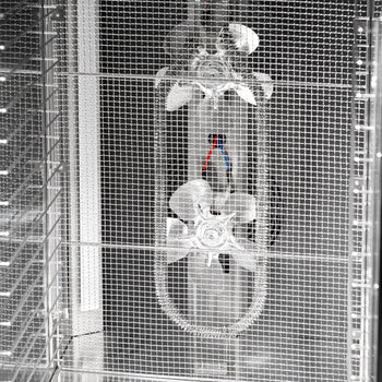 DGSHB_detail_4