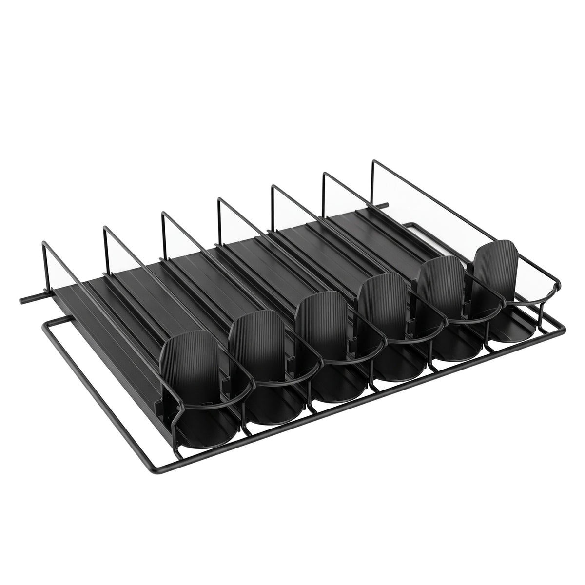 FVSS6_1