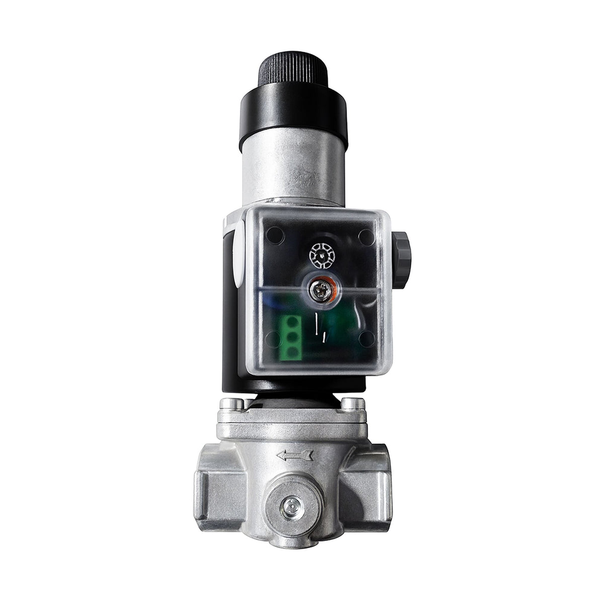 GMVL38_1
