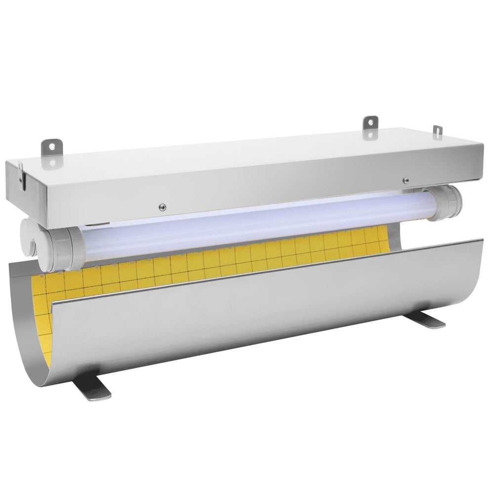 IVB20_1