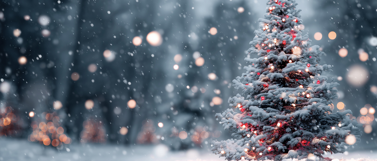 Alt du trenger for et vellykket julearrangement