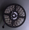 RGB LED – for GKE550LED