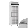 Fryseskap i rustfritt stål ECO - 600 l - til -22 °C til -18 °C - med 1 glassdør - Umluftkjøling, Automatisk avfrosting, R290 - svart
