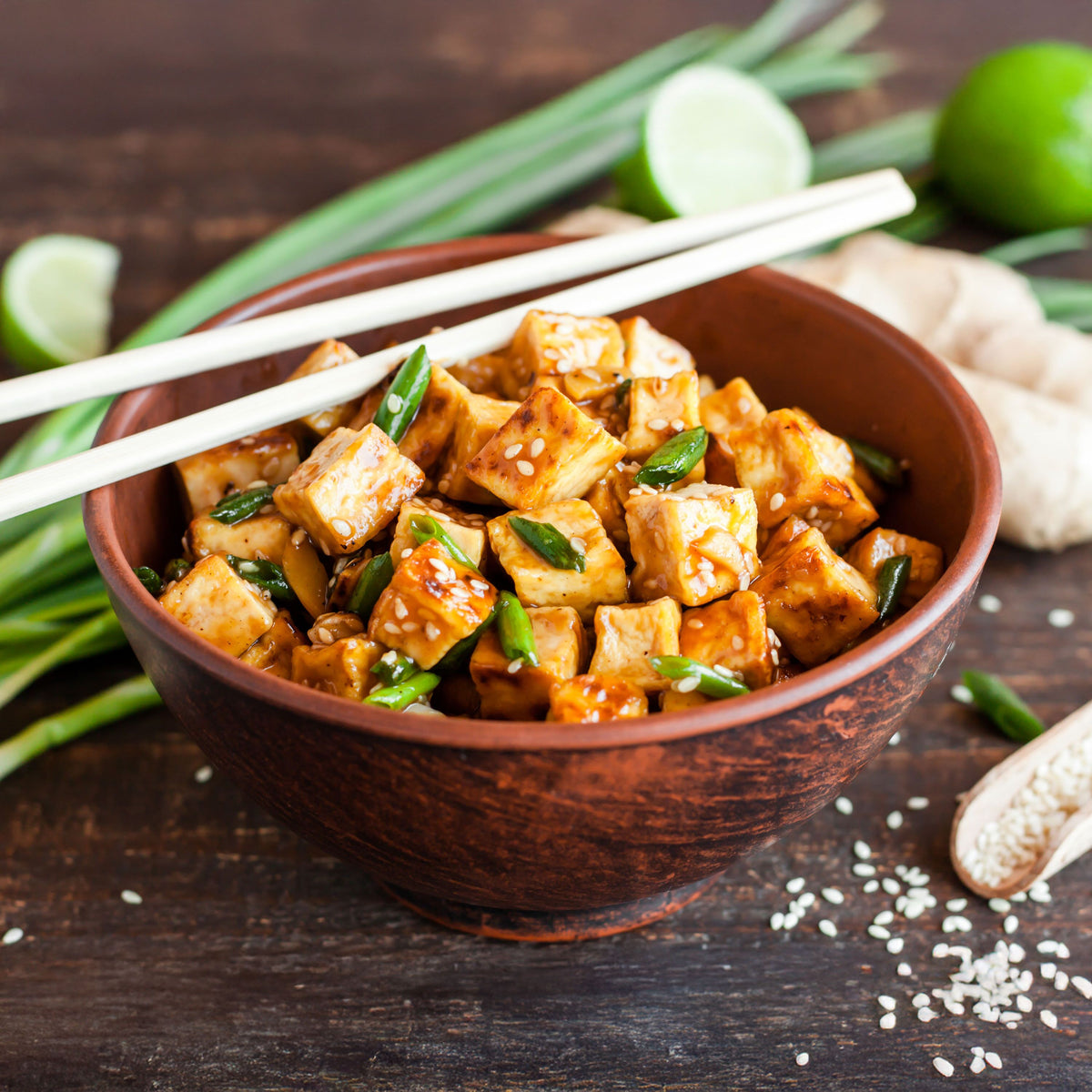 detail_fried-tofu-dish_1